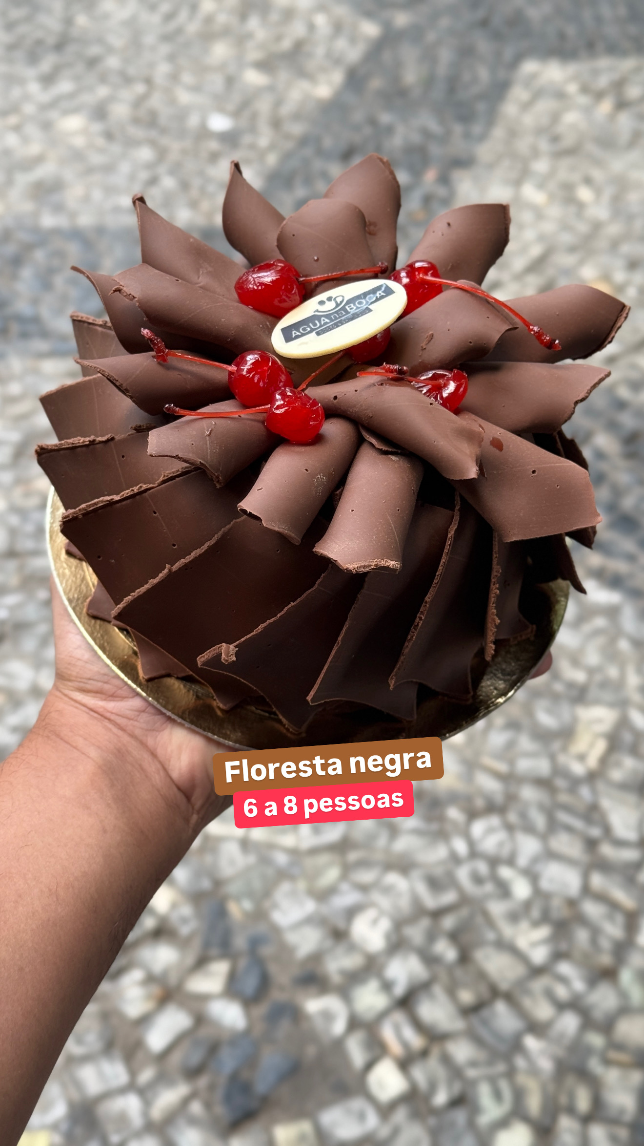 Floresta Negra - Imagem 2