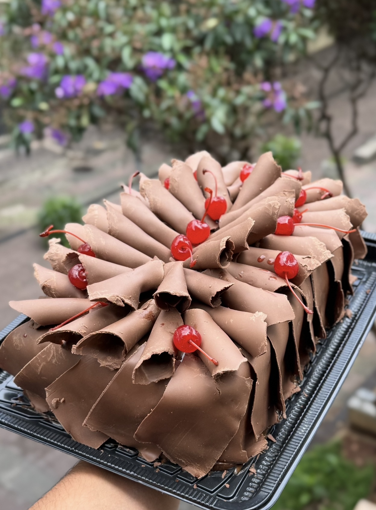 Floresta Negra - Imagem 3